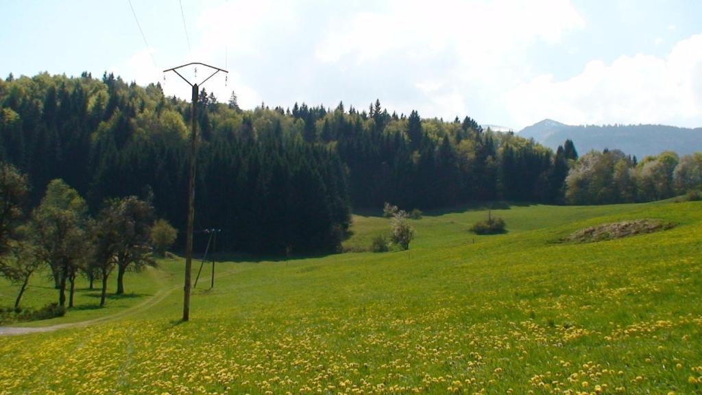 Le Chalet D'Ulysse Araches-la-Frasse Luaran gambar