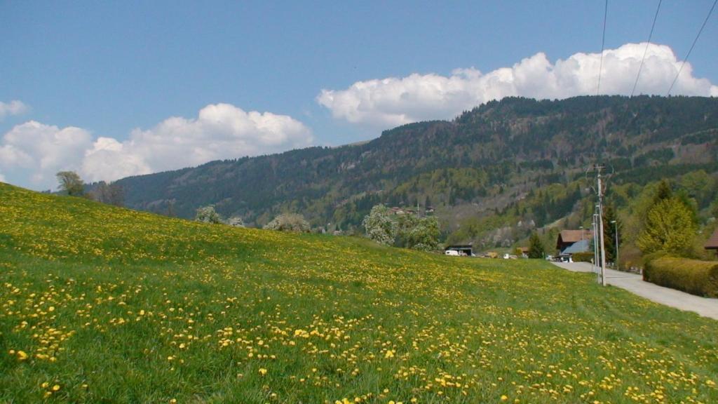 Le Chalet D'Ulysse Araches-la-Frasse Luaran gambar
